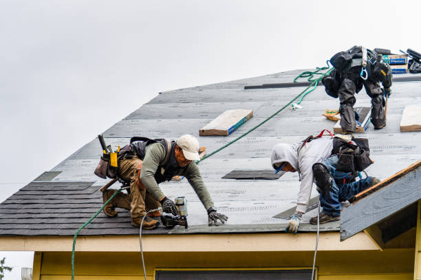 Professional Gutter Installation technician working in Saulsbury, TN