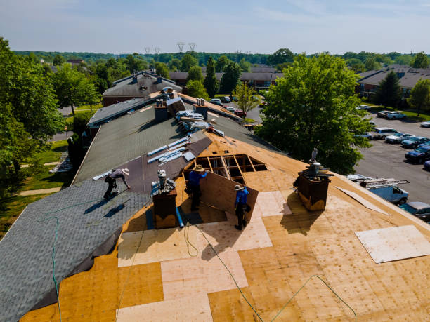Trusted Storm Damage Roof Repair service in Saulsbury, TN - Brentwood Metal Roofing